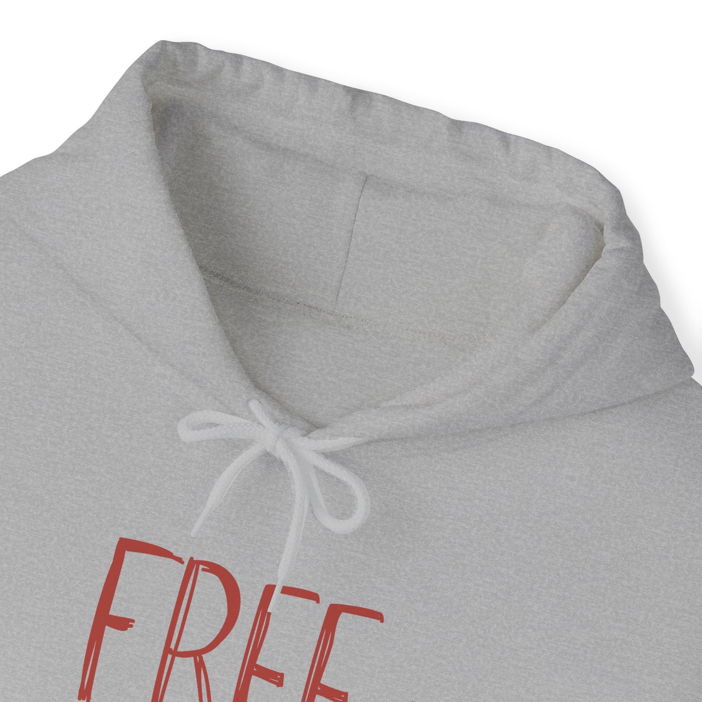 Democracy Hoodie, Freedom is Democracy, Democracy Sweatshirt