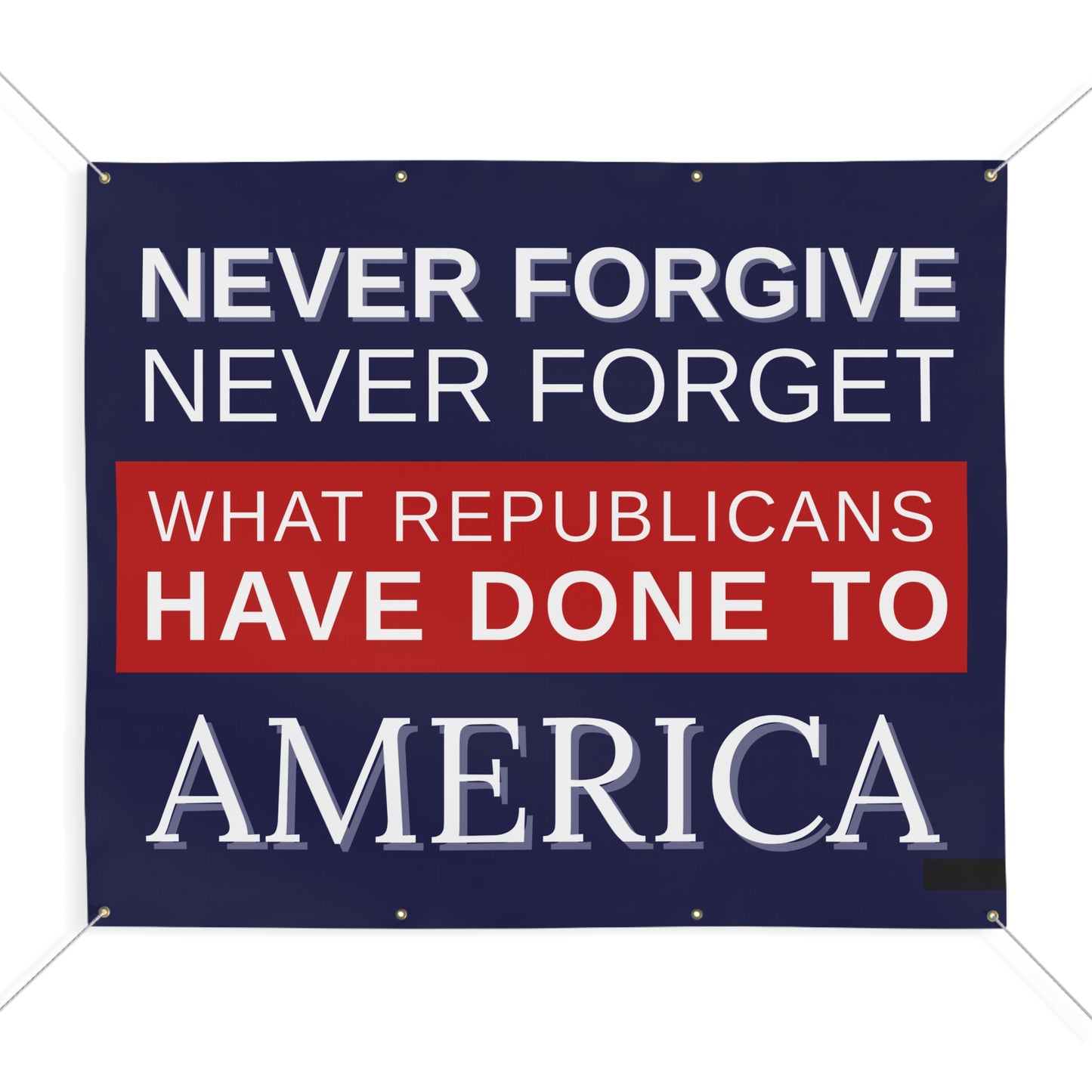 Anti Trump Banner, Protest Banner, Activist Banner, Anti Republican Banner, Free Shipping