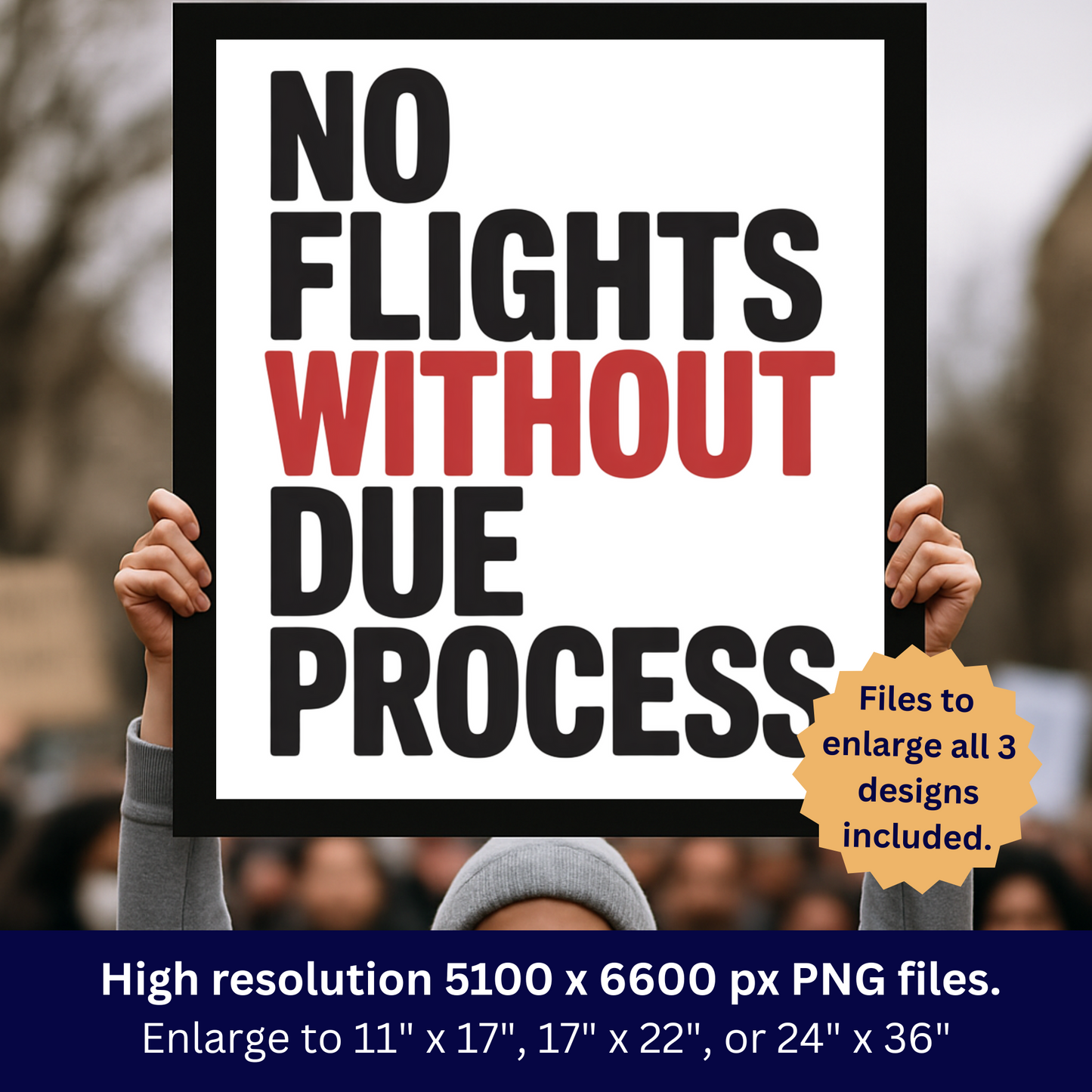 Avelo Air Protest Signs, Printable Immigration Protest Signs, Anti Ice Protest Signs, 3 Signs Included