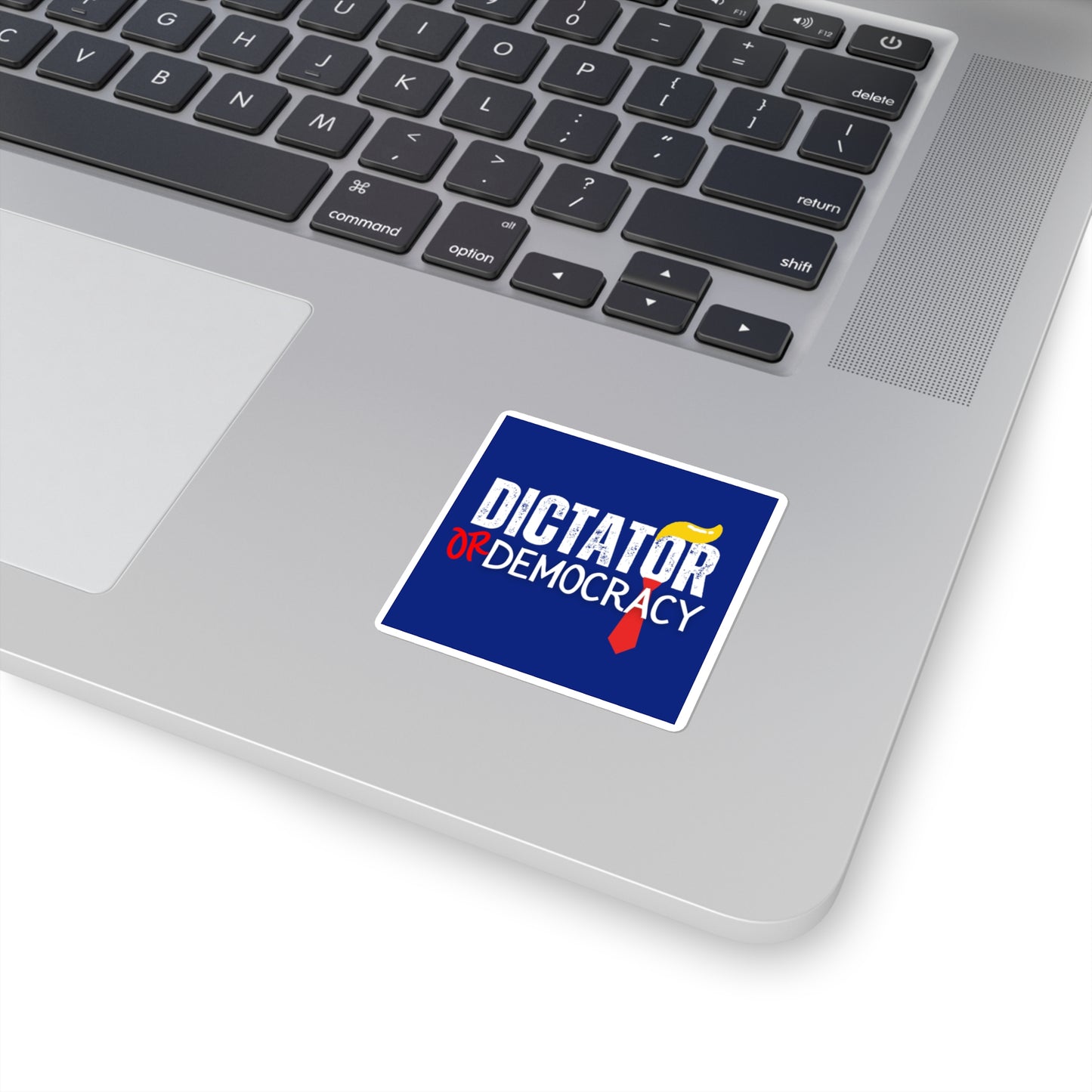 Dictator or Democracy Sticker, Vinyl, Multiple Sizes, Free Shipping, Democracy Sticker, Vote Sticker, Democrat Sticker