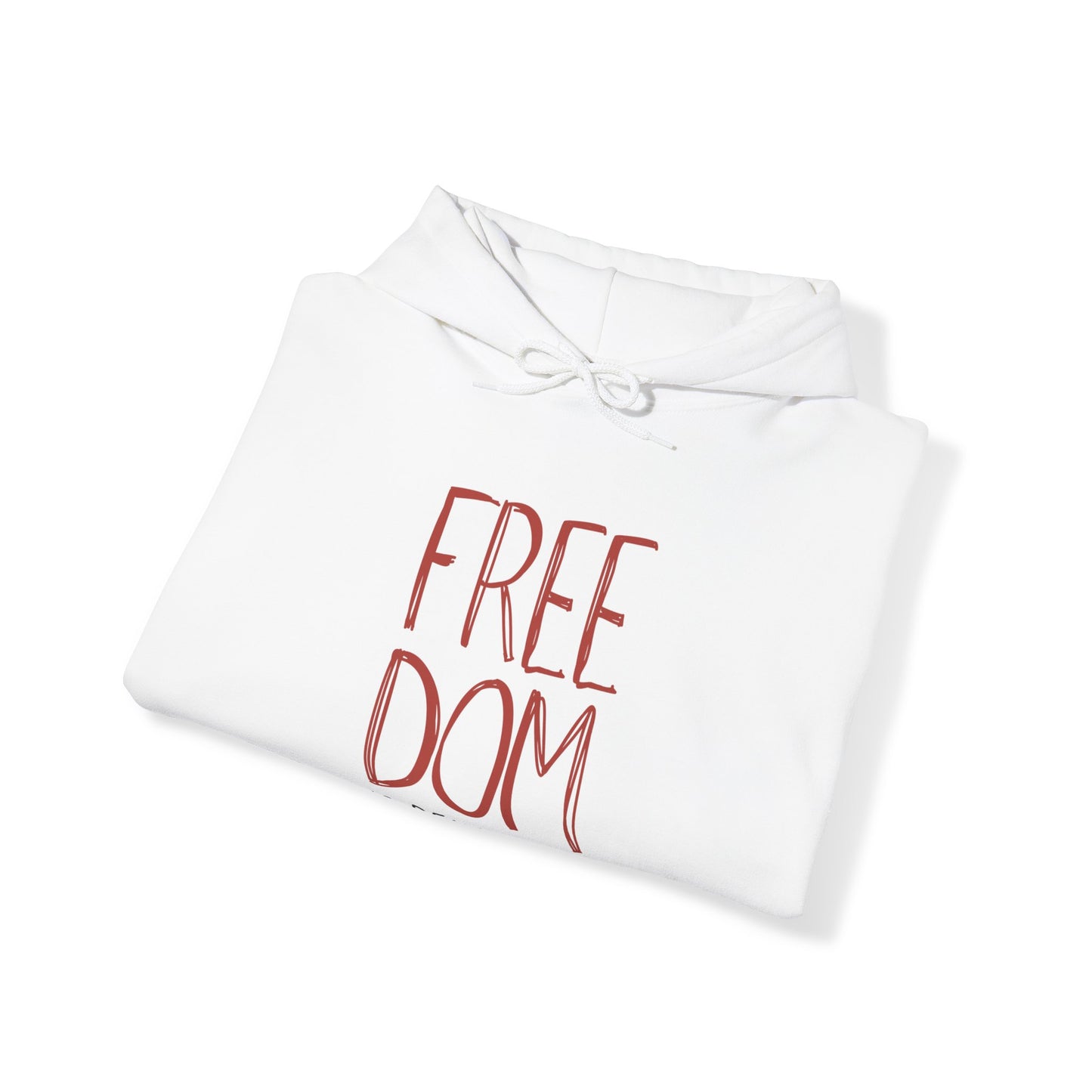 Democracy Hoodie, Freedom is Democracy, Democracy Sweatshirt