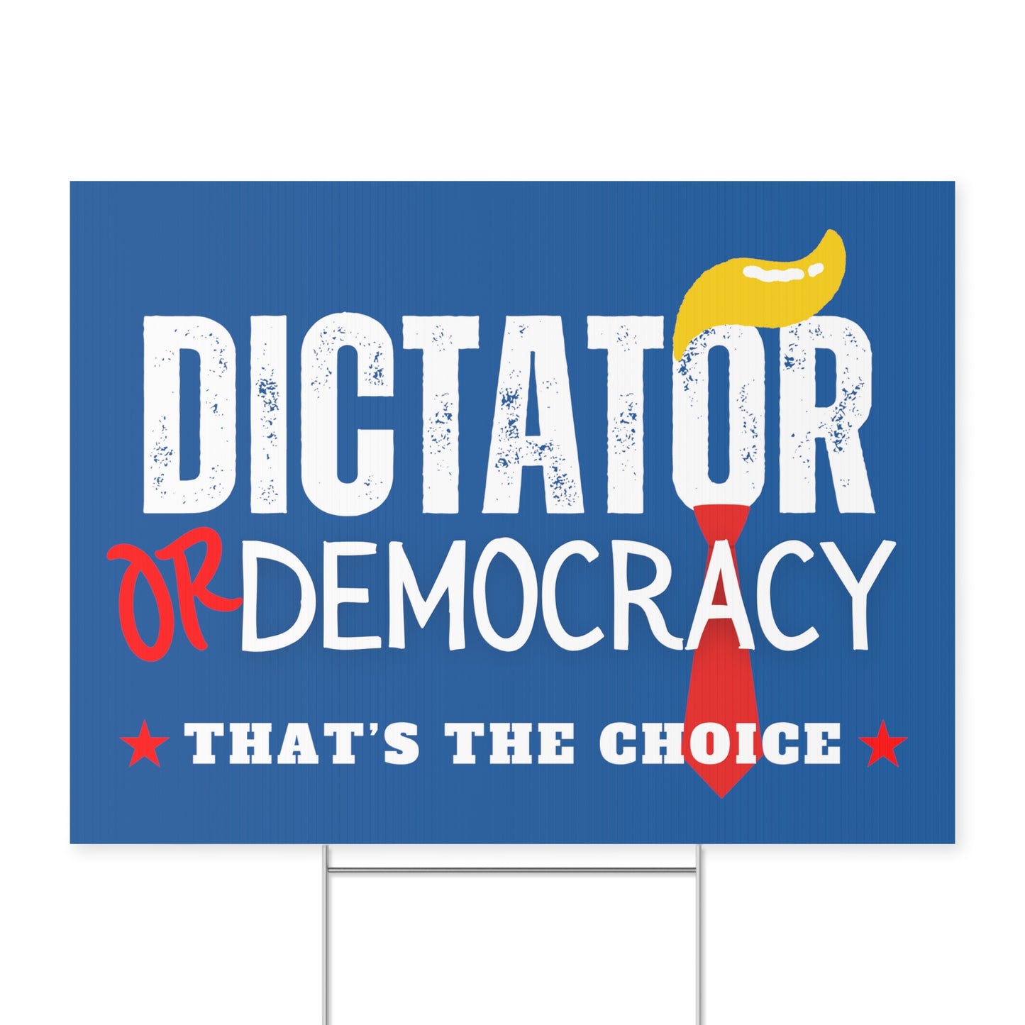 Dictator or Democracy Yard Sign Close Up