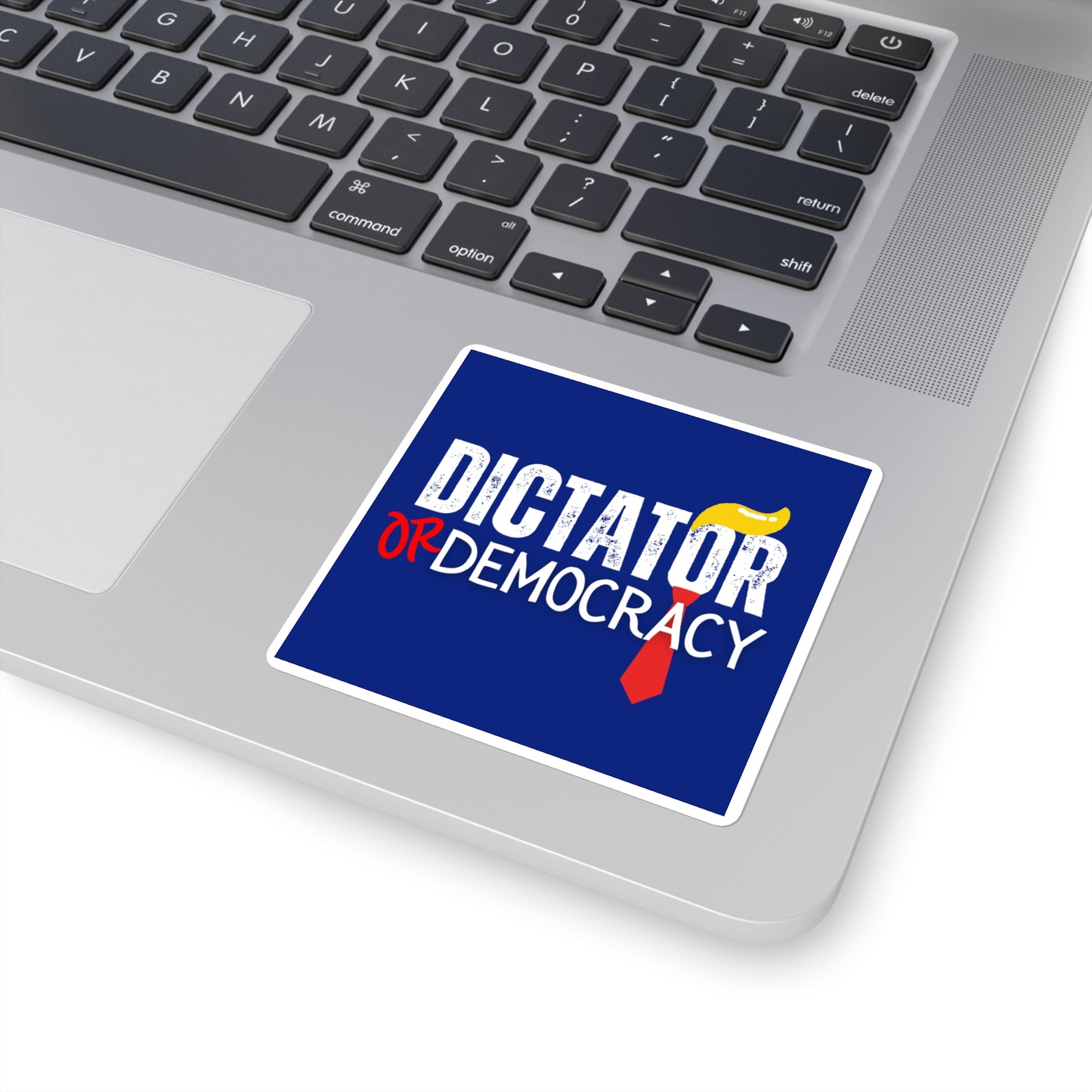 Dictator or Democracy Sticker, Vinyl, Multiple Sizes, Free Shipping, Democracy Sticker, Vote Sticker, Democrat Sticker