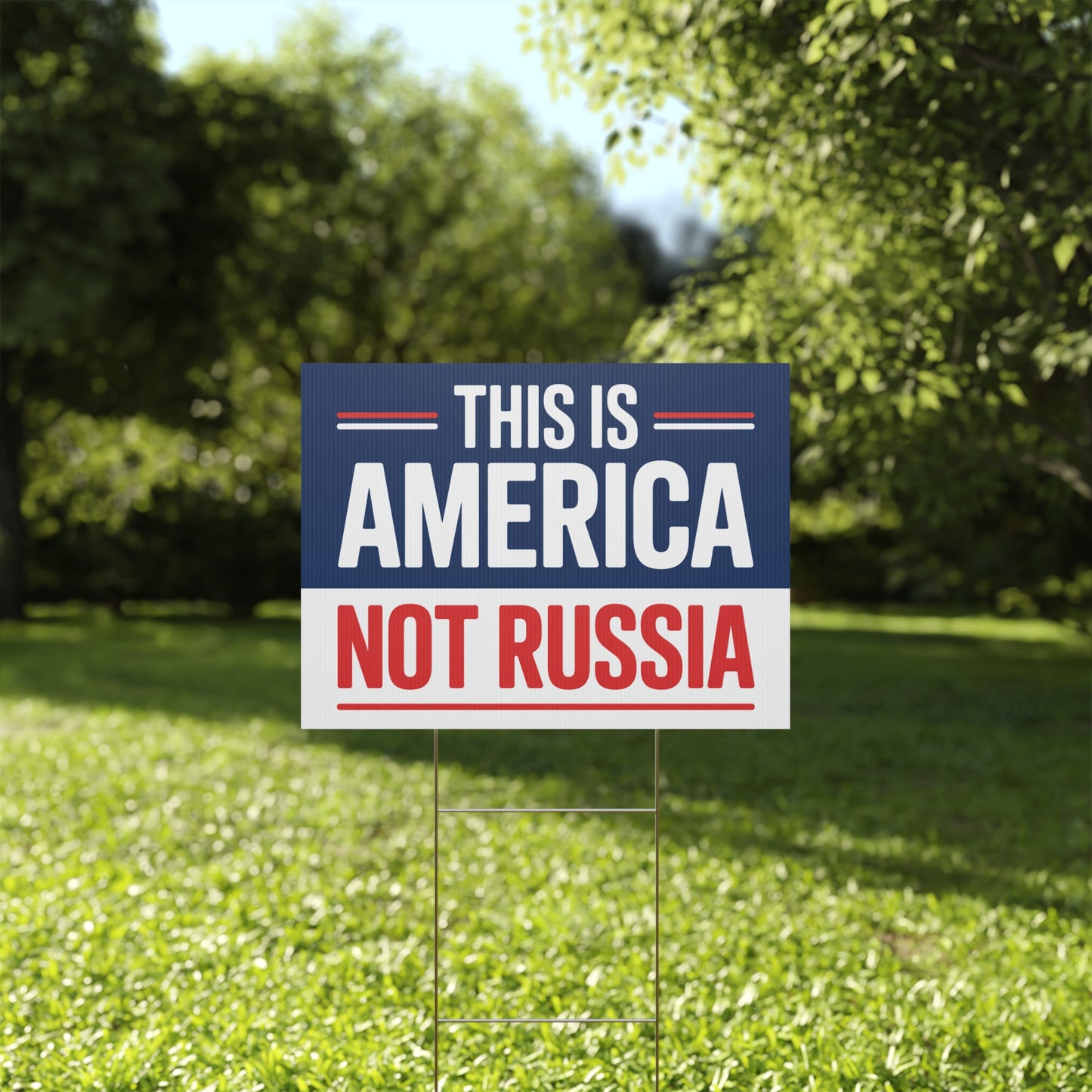 This is America Not Russia Yard Sign, Trump Takeover Signs, Free DC Sign, Hands Off Signs, Anti Trump Yard Signs, Resistance Yard Signs