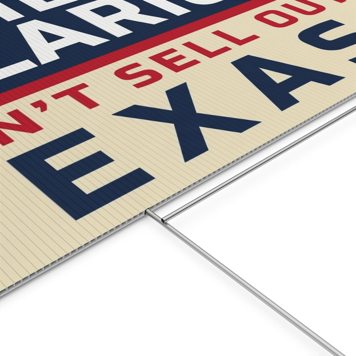 James Talarico Yard Sign, Texas Senate Yard Sign