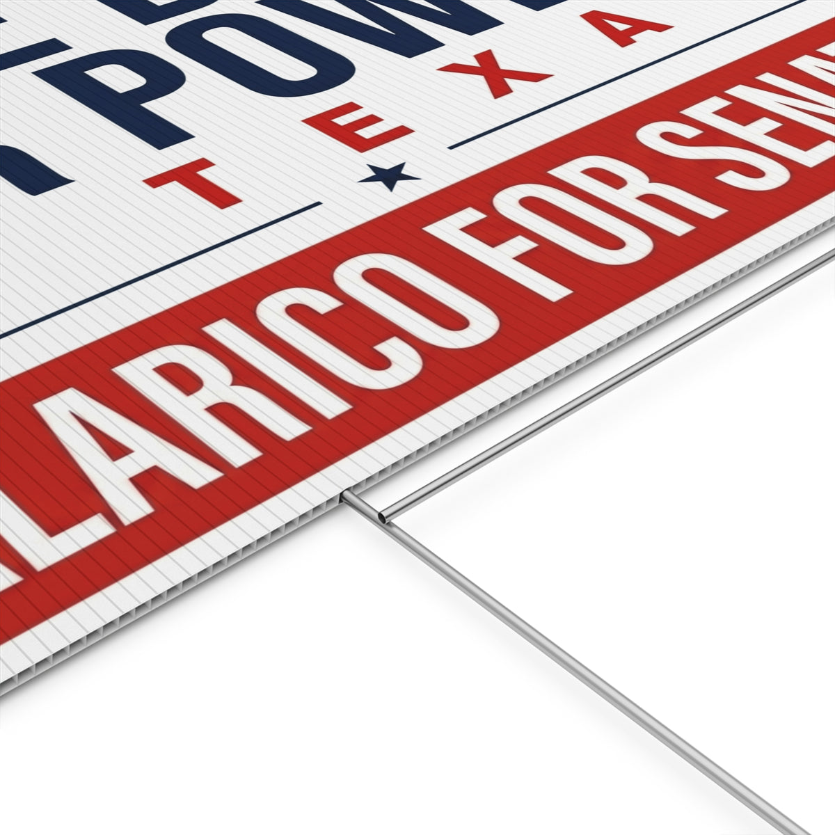 James Talarico Yard Sign, Texas Senate Yard Sign, Take Back Our Power in Texas
