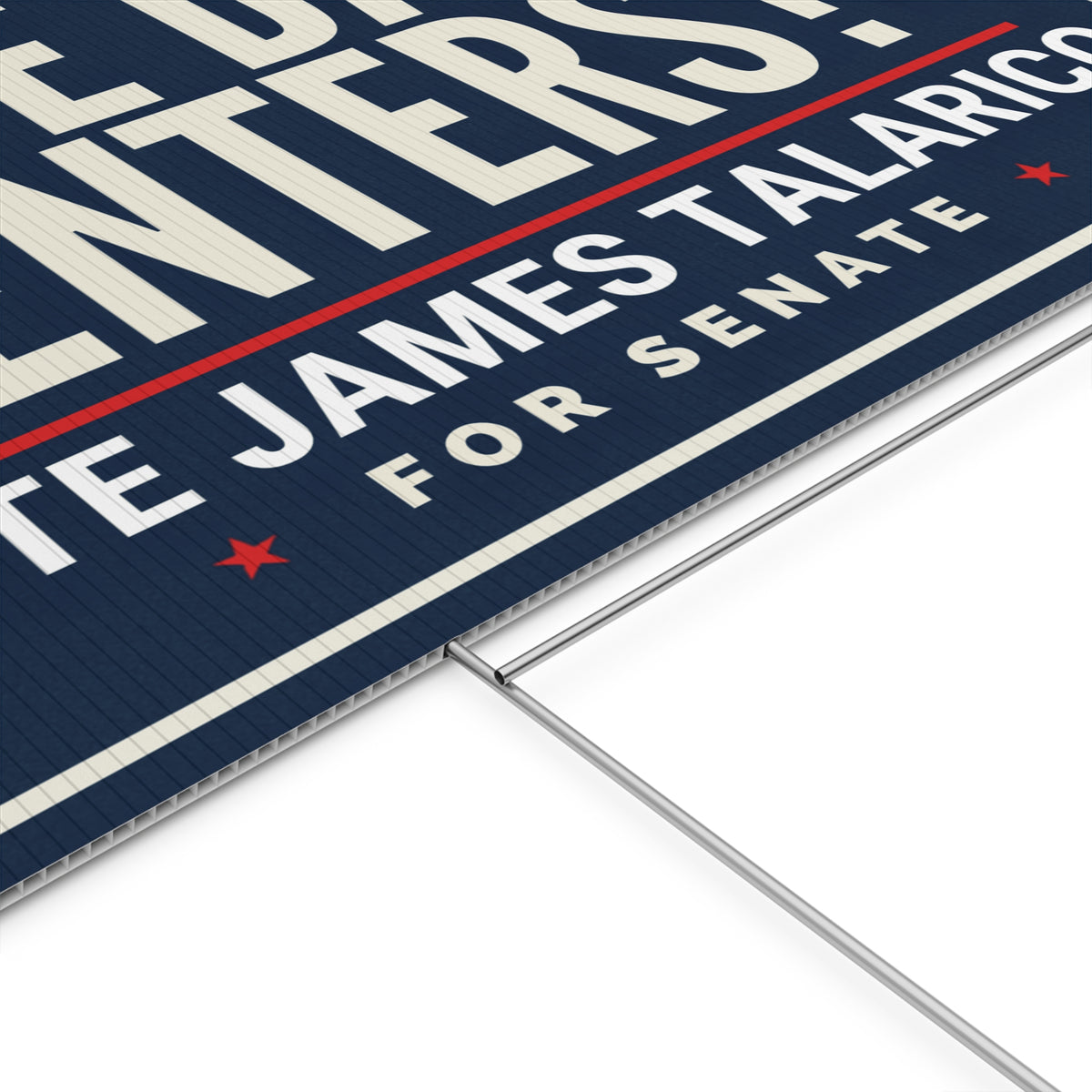 James Talarico Yard Sign, Texas Senate Yard Sign, Hate Data Centers?