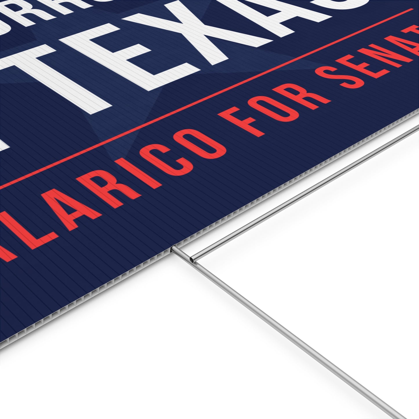 James Talarico Yard Sign, Texas Senate Yard Sign, End Corruption In Texas