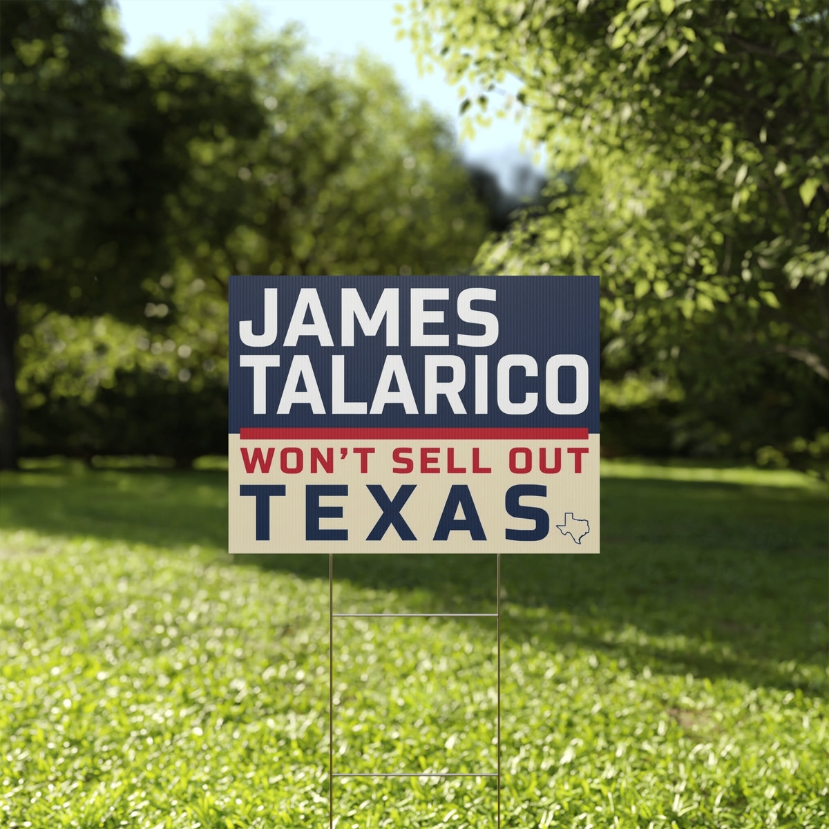 James Talarico Yard Sign, Texas Senate Yard Sign
