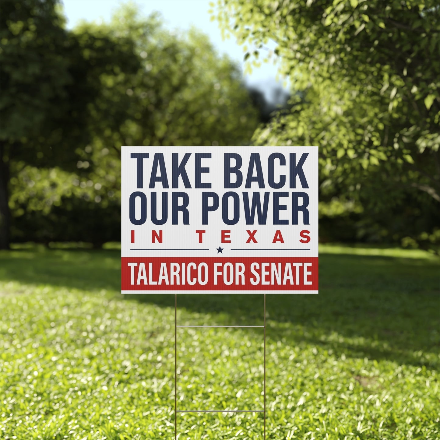 James Talarico Yard Sign, Texas Senate Yard Sign, Take Back Our Power in Texas