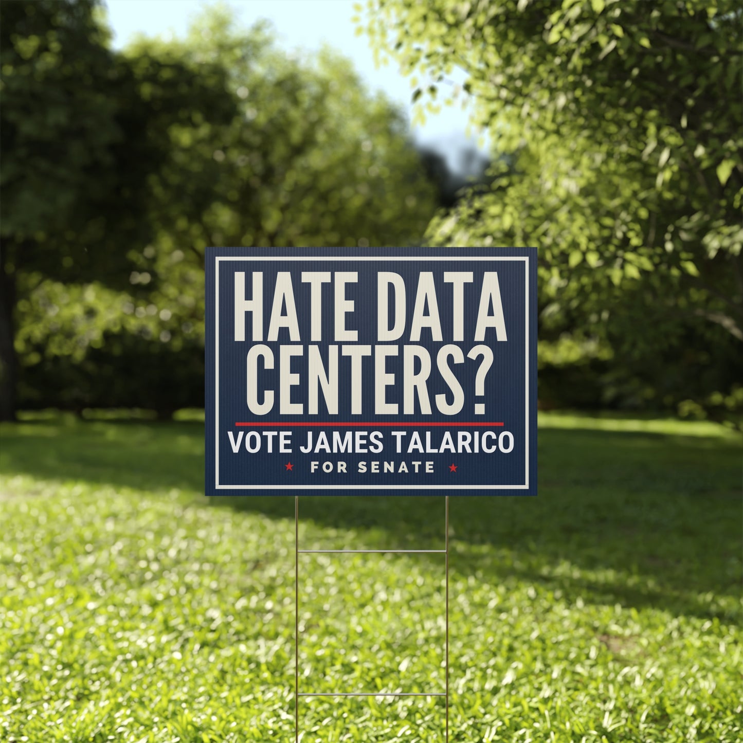 James Talarico Yard Sign, Texas Senate Yard Sign, Hate Data Centers?