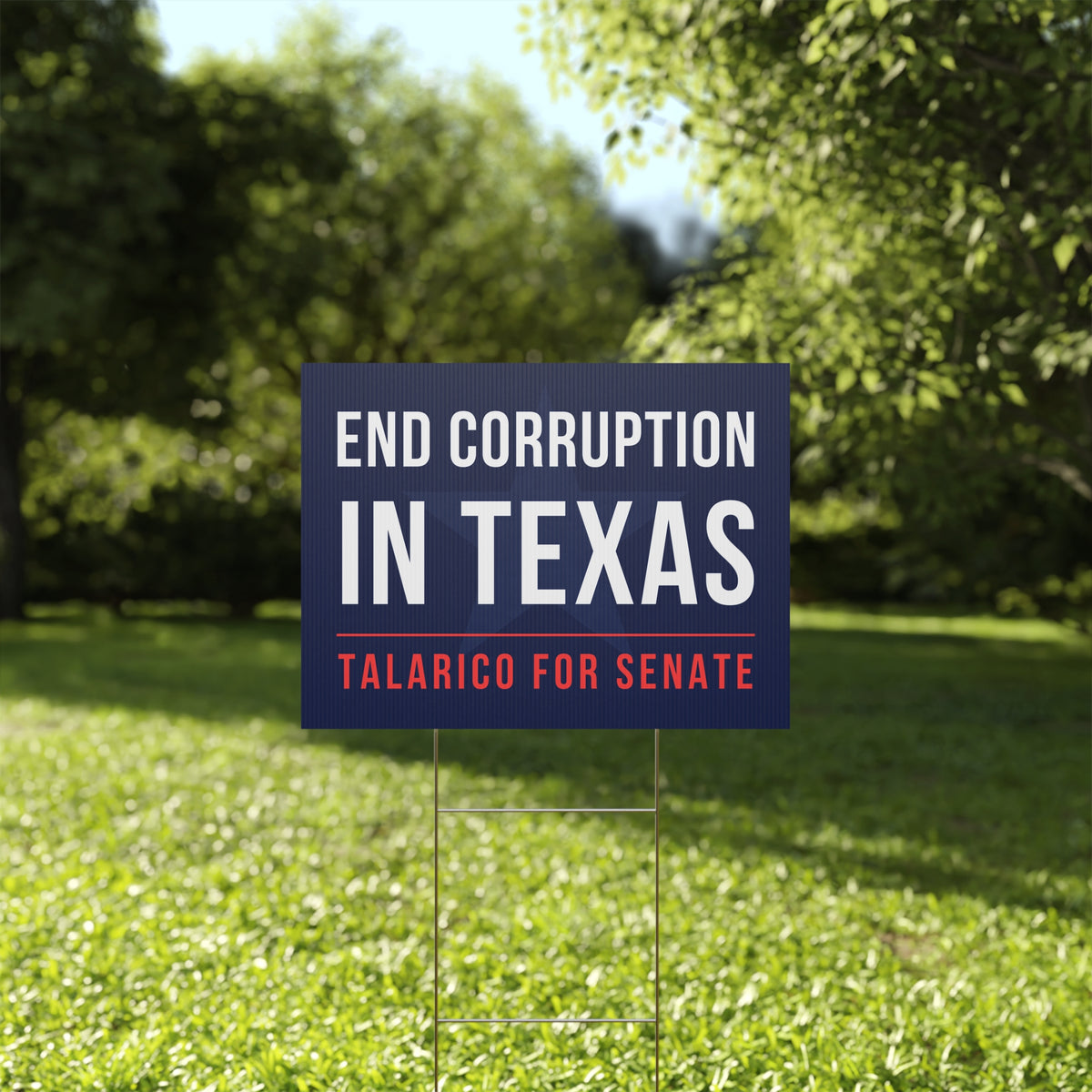 James Talarico Yard Sign, Texas Senate Yard Sign, End Corruption In Texas
