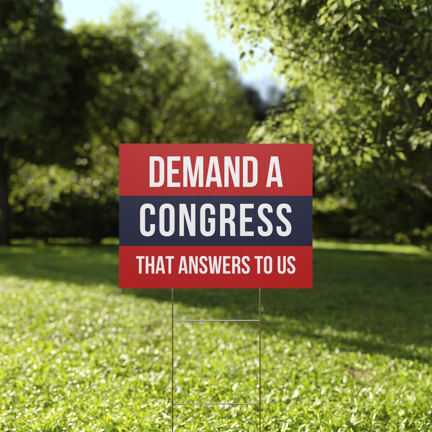 Congress Yard Sign, Midterms Yard Sign, Election Yard Sign